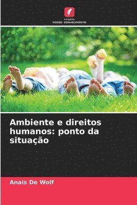 bokomslag Ambiente e direitos humanos