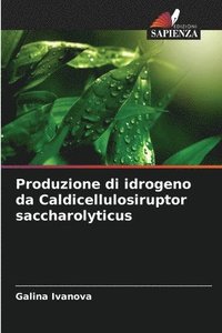 bokomslag Produzione di idrogeno da Caldicellulosiruptor saccharolyticus