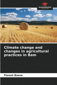 bokomslag Climate change and changes in agricultural practices in Bam