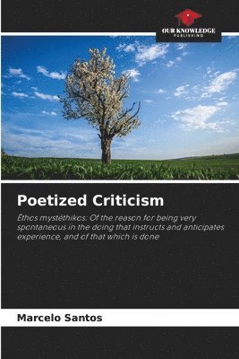 bokomslag Poetized Criticism