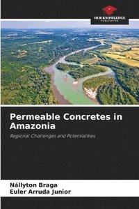 bokomslag Permeable Concretes in Amazonia