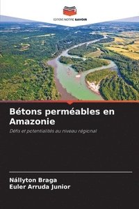 bokomslag Btons permables en Amazonie