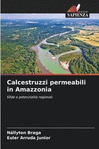 bokomslag Calcestruzzi permeabili in Amazzonia