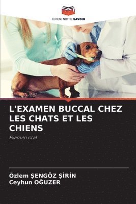 L'Examen Buccal Chez Les Chats Et Les Chiens 1