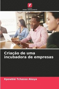 bokomslag Criao de uma incubadora de empresas