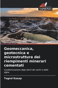 bokomslag Geomeccanica, geotecnica e microstruttura dei riempimenti minerari cementati