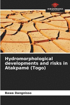 bokomslag Hydromorphological developments and risks in Atakpam (Togo)