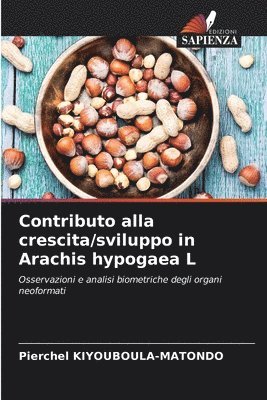 Contributo alla crescita/sviluppo in Arachis hypogaea L 1