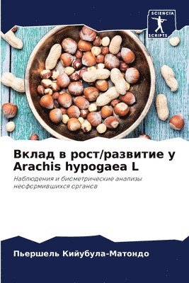 bokomslag &#1042;&#1082;&#1083;&#1072;&#1076; &#1074; &#1088;&#1086;&#1089;&#1090;/&#1088;&#1072;&#1079;&#1074;&#1080;&#1090;&#1080;&#1077; &#1091; Arachis hypogaea L