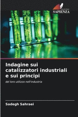 Indagine sui catalizzatori industriali e sui principi 1