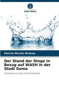 bokomslag Der Stand der Dinge in Bezug auf WASH in der Stadt Goma