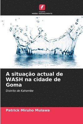 bokomslag A situao actual de WASH na cidade de Goma