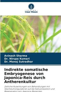 bokomslag Indirekte somatische Embryogenese von Japonica-Reis durch Antherenkultur