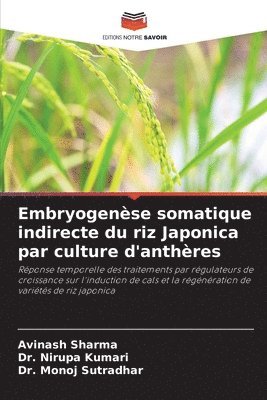 Embryogense somatique indirecte du riz Japonica par culture d'anthres 1