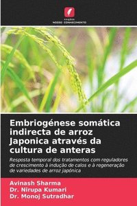 bokomslag Embriognese somtica indirecta de arroz Japonica atravs da cultura de anteras