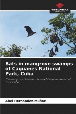 Bats in mangrove swamps of Caguanes National Park, Cuba 1