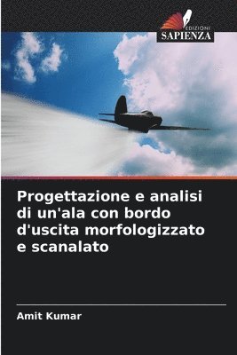 Progettazione e analisi di un'ala con bordo d'uscita morfologizzato e scanalato 1