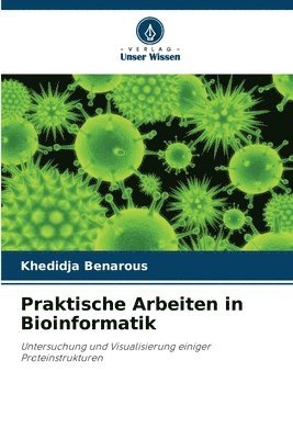 bokomslag Praktische Arbeiten in Bioinformatik