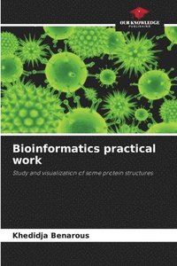 bokomslag Bioinformatics practical work