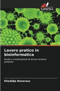 bokomslag Lavoro pratico in bioinformatica