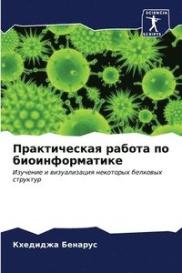 bokomslag &#1055;&#1088;&#1072;&#1082;&#1090;&#1080;&#1095;&#1077;&#1089;&#1082;&#1072;&#1103; &#1088;&#1072;&#1073;&#1086;&#1090;&#1072; &#1087;&#1086;