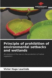 bokomslag Principle of prohibition of environmental setbacks and wetlands