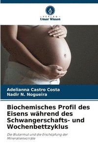 bokomslag Biochemisches Profil des Eisens whrend des Schwangerschafts- und Wochenbettzyklus