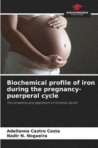 bokomslag Biochemical profile of iron during the pregnancy-puerperal cycle