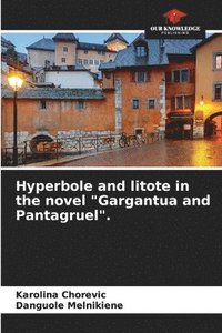 bokomslag Hyperbole and litote in the novel &quot;Gargantua and Pantagruel&quot;.