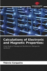 bokomslag Calculations of Electronic and Magnetic Properties