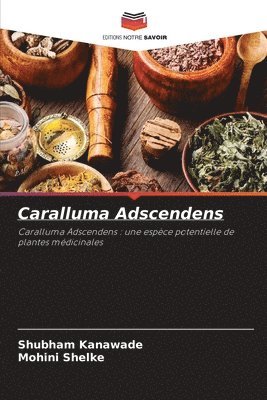 Caralluma Adscendens 1