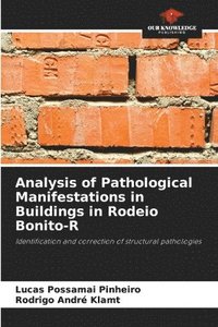 bokomslag Analysis of Pathological Manifestations in Buildings in Rodeio Bonito-R