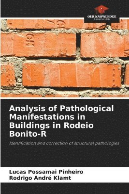 Analysis of Pathological Manifestations in Buildings in Rodeio Bonito-R 1