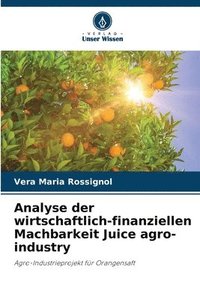 bokomslag Analyse der wirtschaftlich-finanziellen Machbarkeit Juice agro-industry