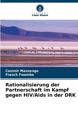 bokomslag Rationalisierung der Partnerschaft im Kampf gegen HIV/Aids in der DRK