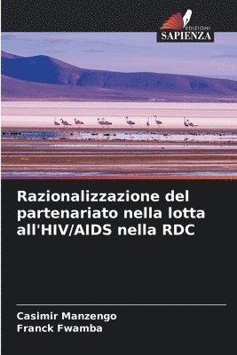 Razionalizzazione del partenariato nella lotta all'HIV/AIDS nella RDC 1