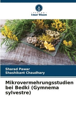 Mikrovermehrungsstudien bei Bedki (Gymnema sylvestre) 1