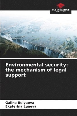 Environmental security 1