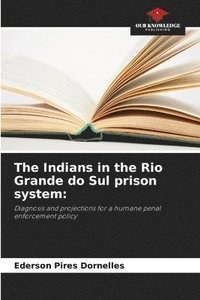 bokomslag The Indians in the Rio Grande do Sul prison system