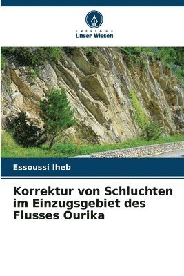 Korrektur von Schluchten im Einzugsgebiet des Flusses Ourika 1