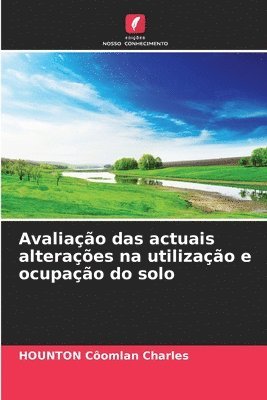 bokomslag Avaliao das actuais alteraes na utilizao e ocupao do solo