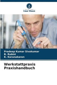 bokomslag Werkstattpraxis Praxishandbuch