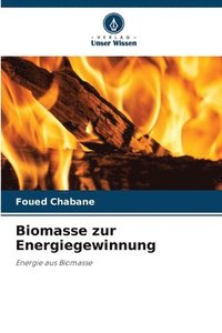 bokomslag Biomasse zur Energiegewinnung