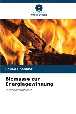bokomslag Biomasse zur Energiegewinnung