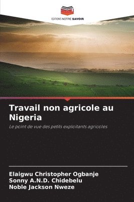 Travail non agricole au Nigeria 1