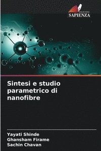 bokomslag Sintesi e studio parametrico di nanofibre