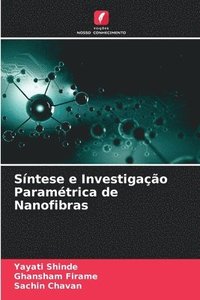 bokomslag Sntese e Investigao Paramtrica de Nanofibras