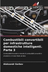 bokomslag Combustibili convertibili per infrastrutture domestiche intelligenti. Parte 3