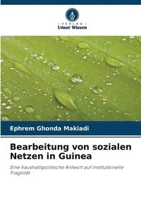 bokomslag Bearbeitung von sozialen Netzen in Guinea