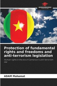 bokomslag Protection of fundamental rights and freedoms and anti-terrorism legislation